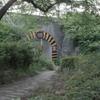 IMGP0135