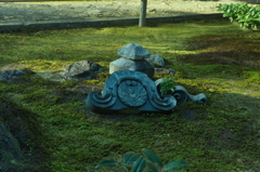 IMGP1320