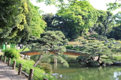 清澄庭園ー1