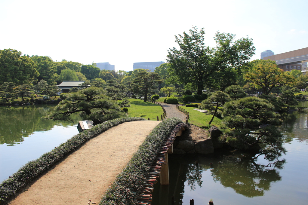 清澄庭園-2