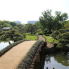 清澄庭園-2