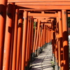 谷根千－根津神社