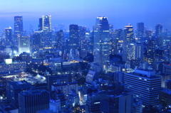 Mega City Tokyo