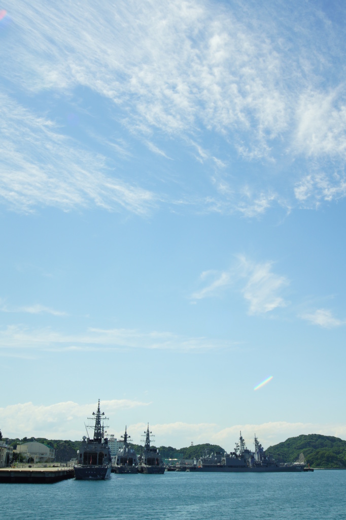 Blue and Gray