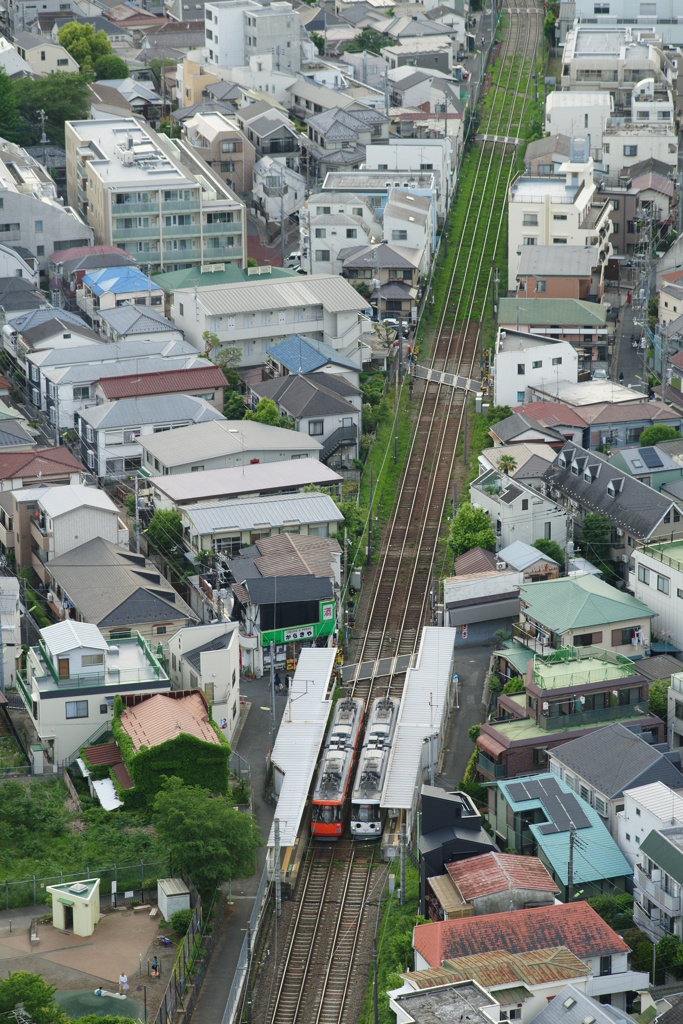 まねきねこ電車と一緒に