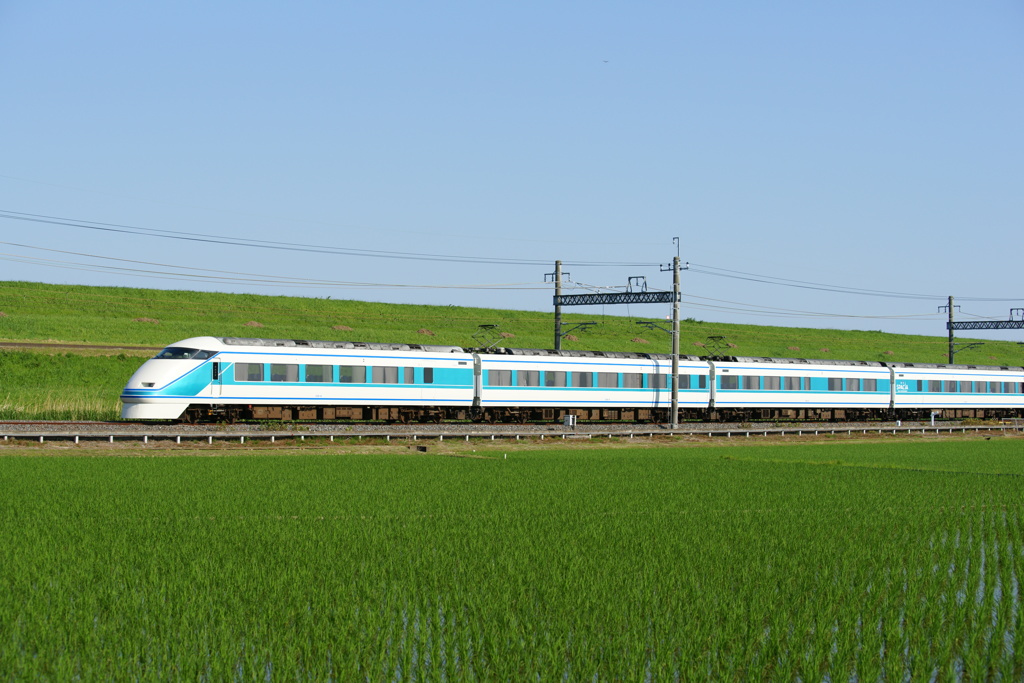 青と緑のストライプ