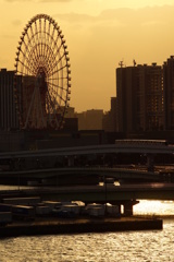 ゆりかもめ夕景