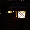 磯前神社の灯篭たち