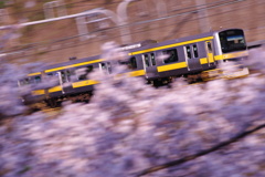 中央各停桜流しⅢ