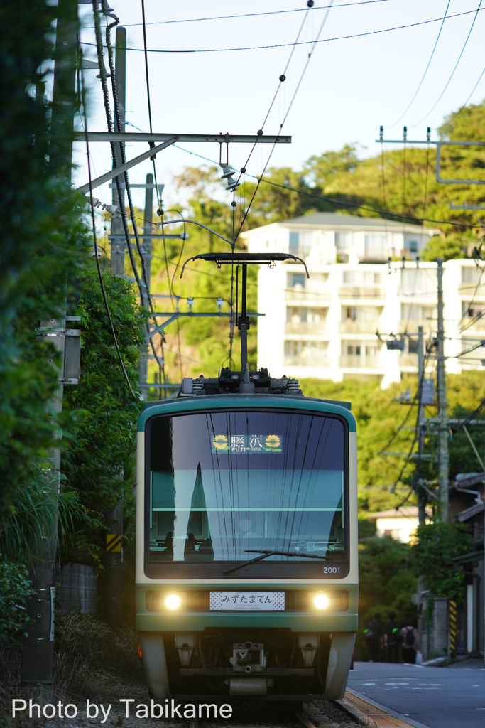 ひまわりの咲く電車