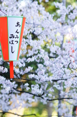 風情