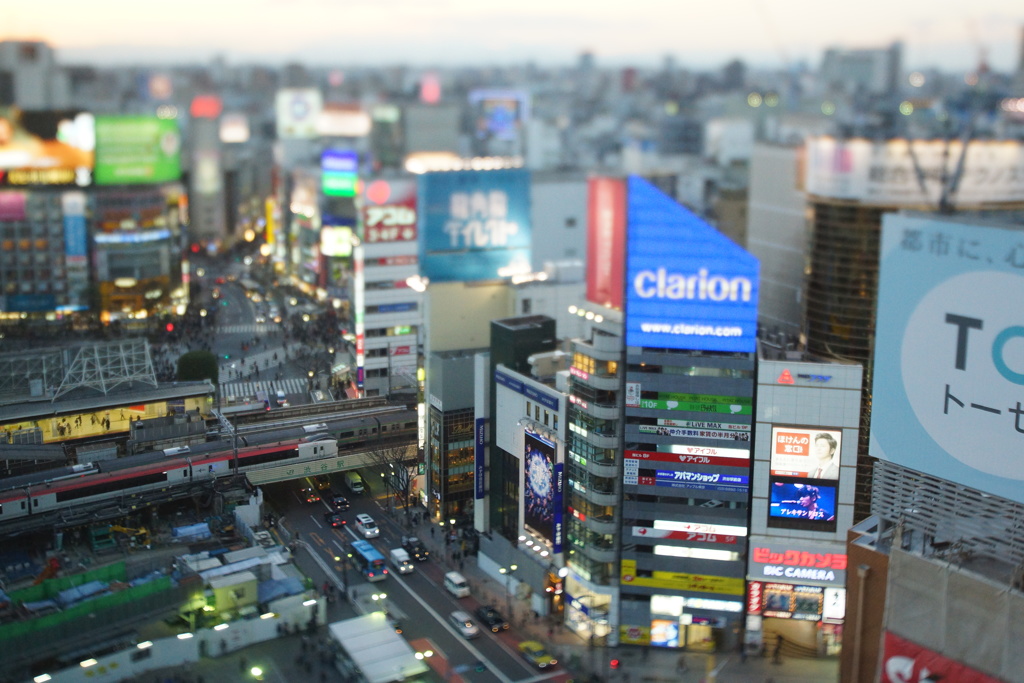 渋谷模型