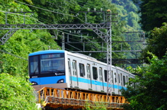 緑に挟まれて