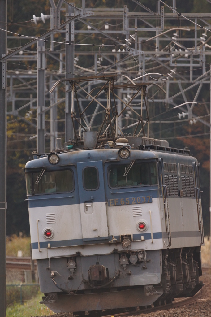 EF65