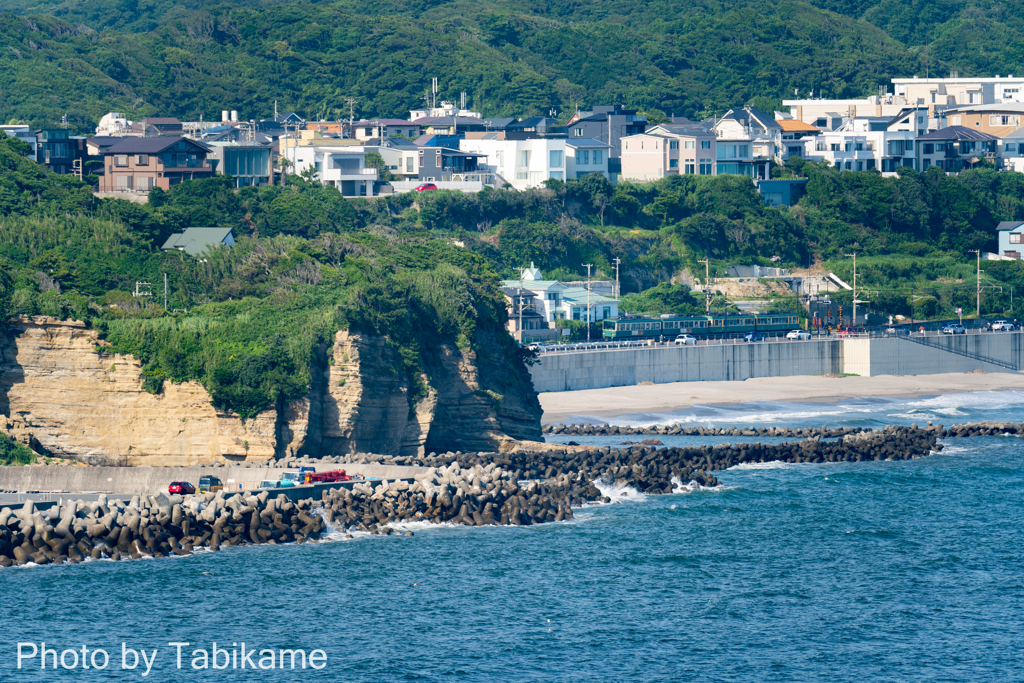 湘南の海を望む
