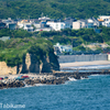 湘南の海を望む