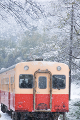 大雪の中