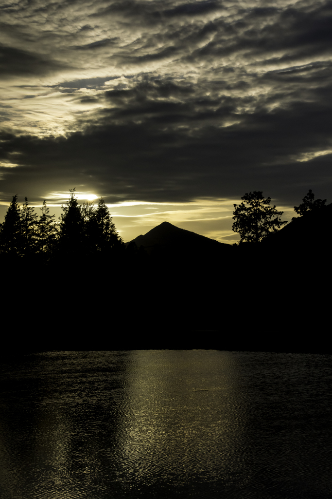 水田夕景