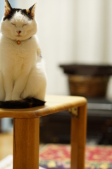 机の番人