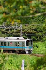 木々の間からⅡ