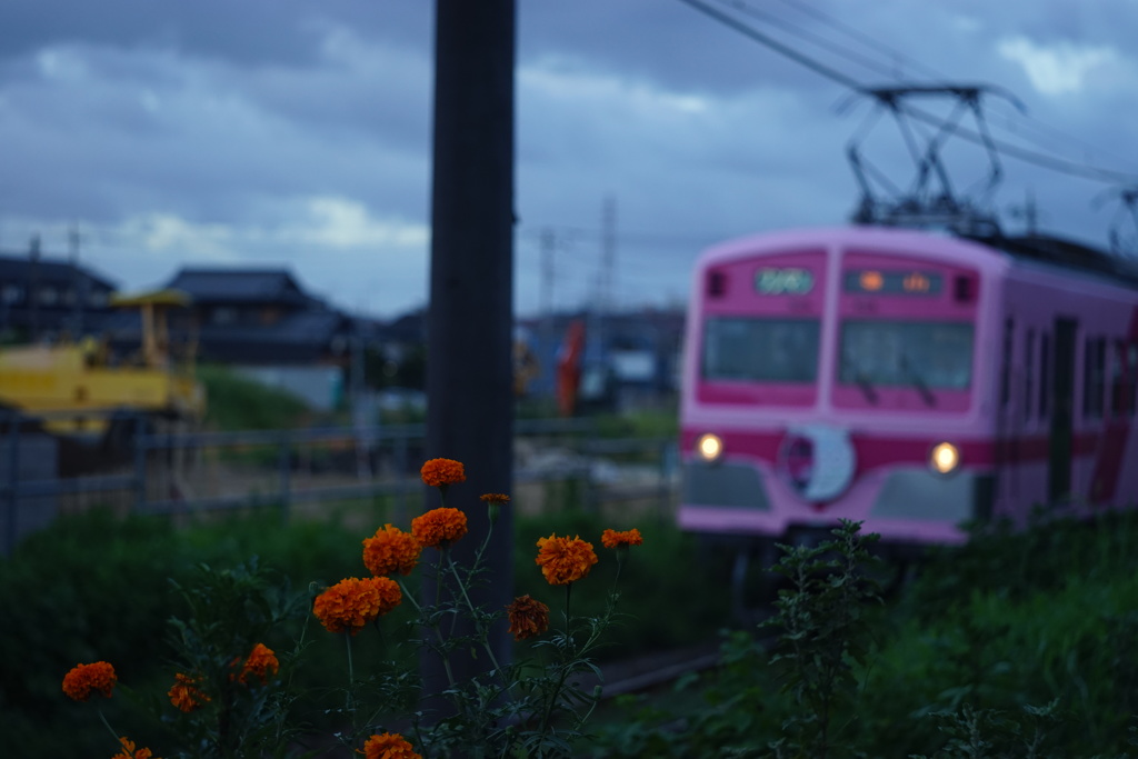 日没前に
