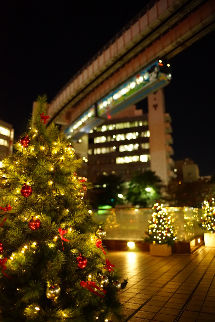 ツリーが光る夜に