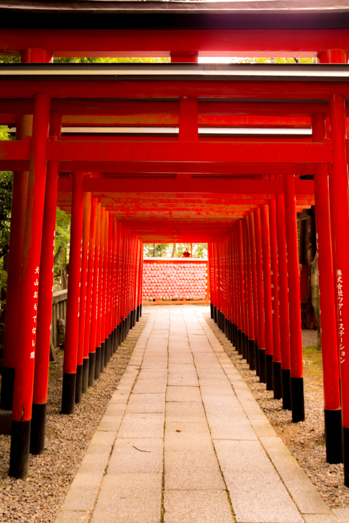 鳥居の先には・・・