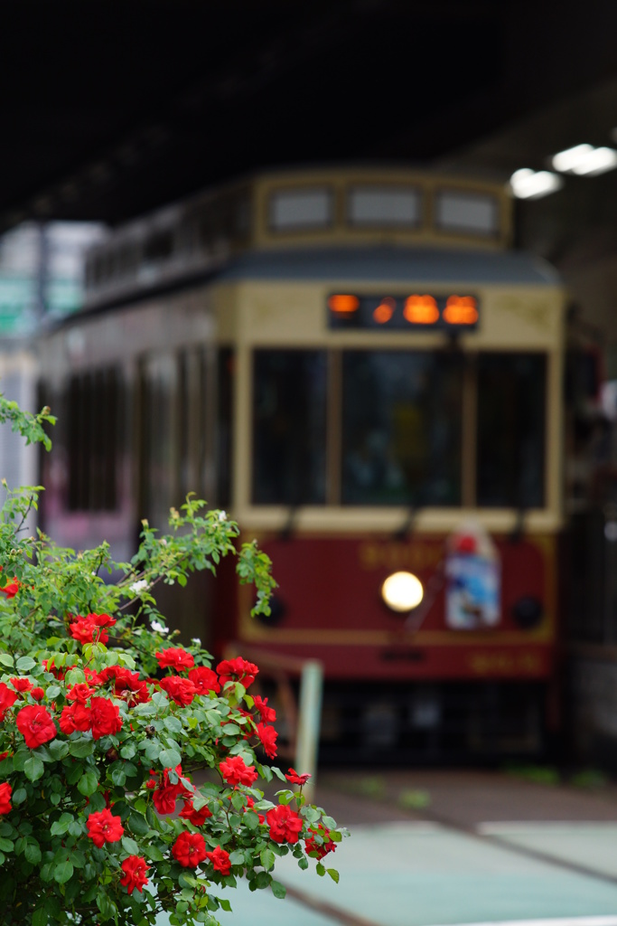 走る電車に花束をⅡ