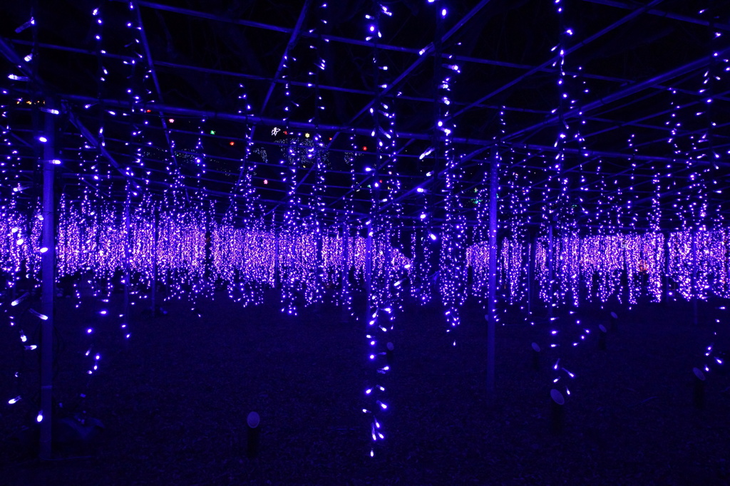 ＬＥＤ　ＦＵＪＩ