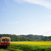 のんびり里山景色