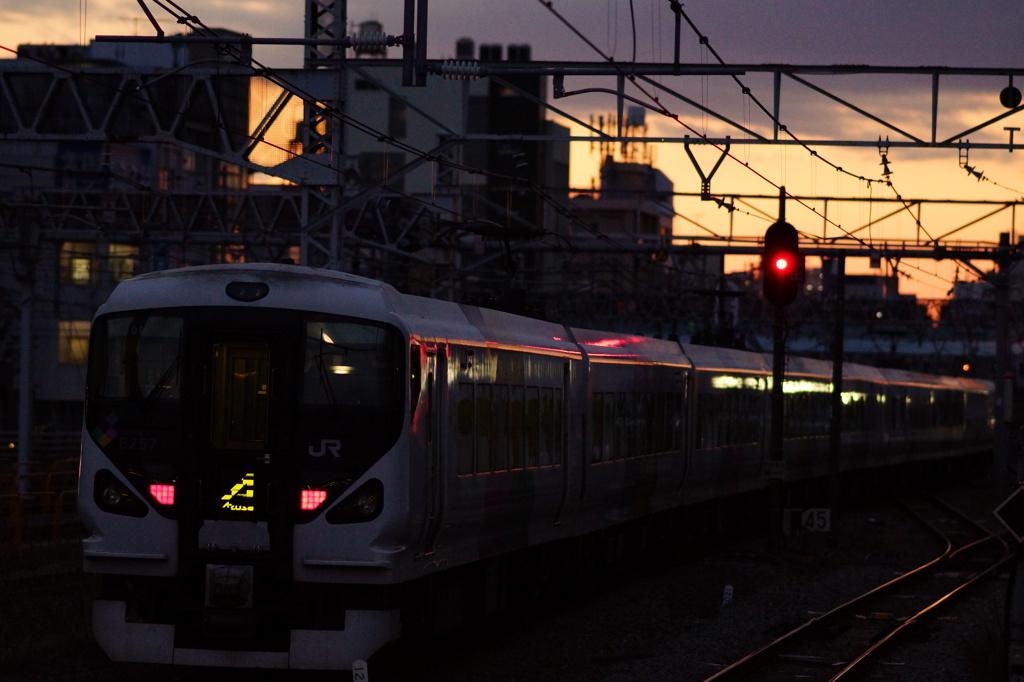 夕日をバックに