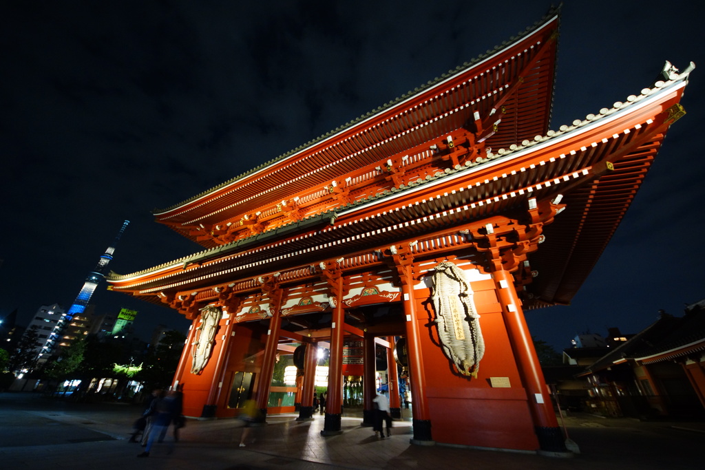 夜の朱
