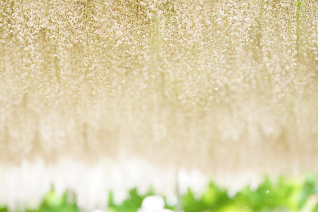 White rain