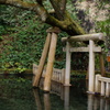 鹿島神宮御手洗池の鳥居