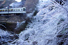 ようこそ氷の世界へ