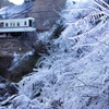 ようこそ氷の世界へ