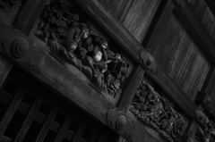 DP3 with Monochrome