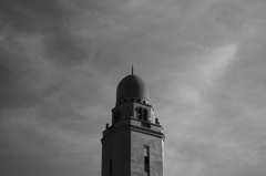 DP3 with Monochrome