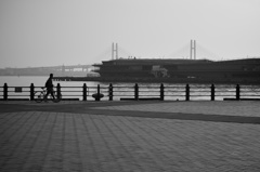 DP3 with Monochrome