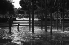DP3 with Monochrome
