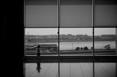 DP3 with Monochrome