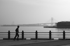 DP3 with Monochrome