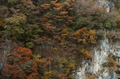DP3 with Color