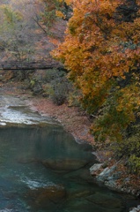 DP3 with Color