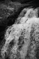 DP3 with Monochrome