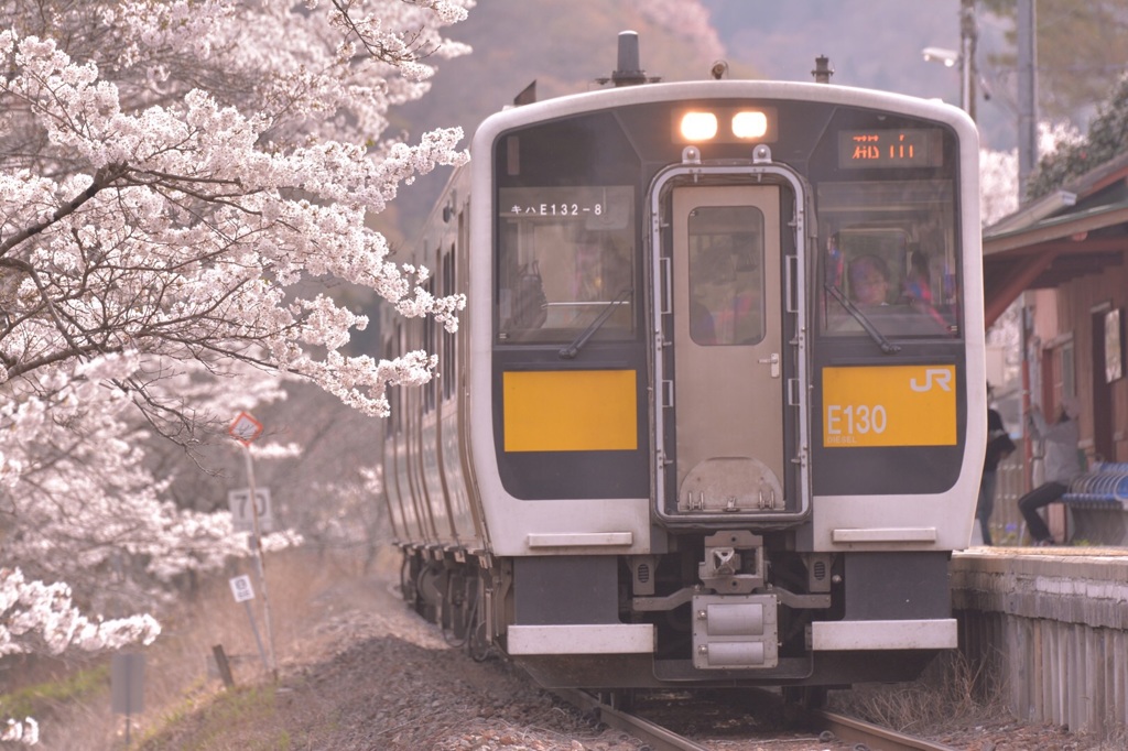 桜咲く矢祭山駅