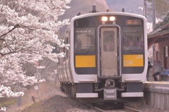 桜咲く矢祭山駅