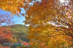 矢祭山の秋景色