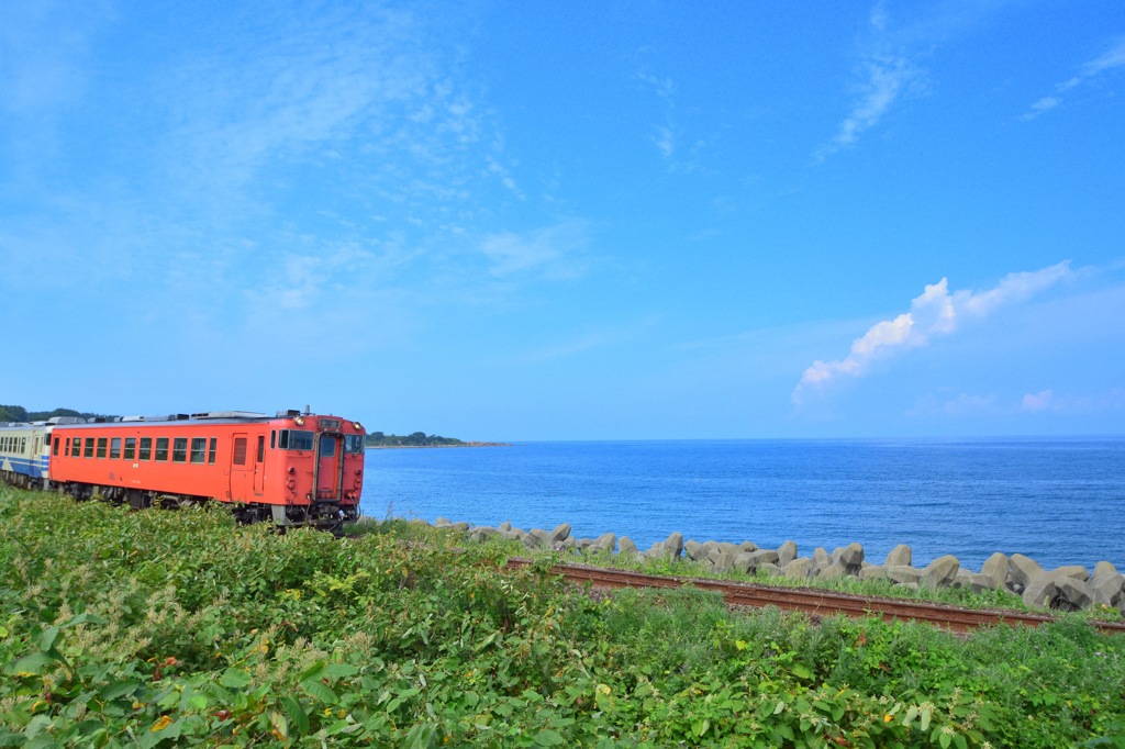 夏色の海岸を行く