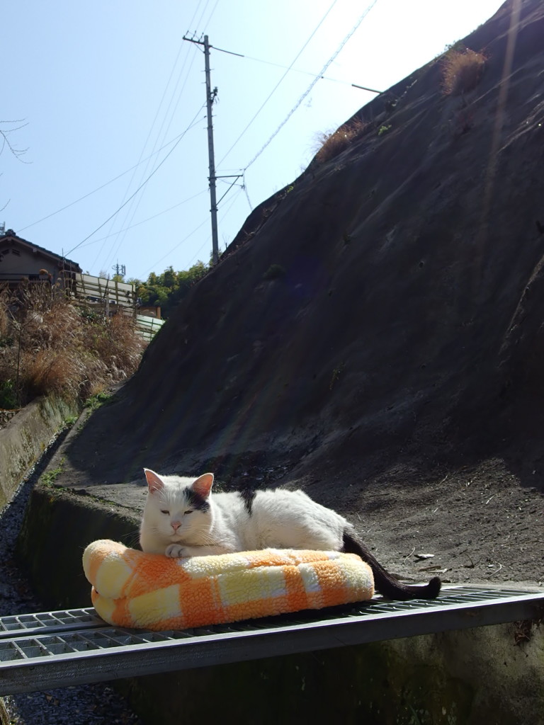 あったかいんだから～